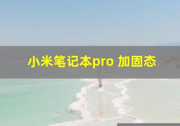 小米笔记本pro 加固态